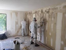 Best Asbestos and Lead Testing During Mold Inspection  in Barclay, NJ